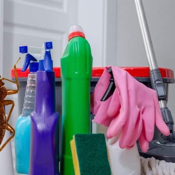 Punaises de lit 6 astuces ménages pour les éloigner et ne jamais en avoir !