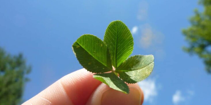 Ces 3 signes du zodiaque auront beaucoup de chance en juin