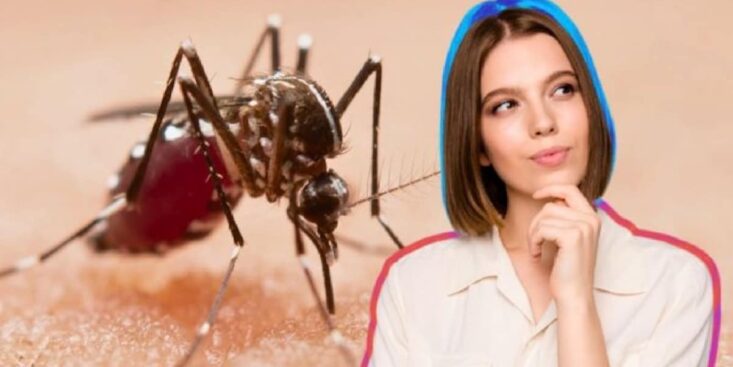 Chassez tous les moustiques de chez vous avec du papier toilette