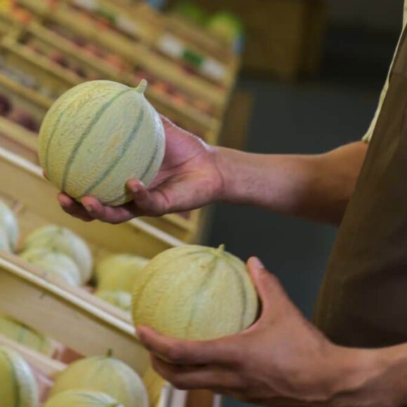 La meilleure technique pour bien choisir son melon