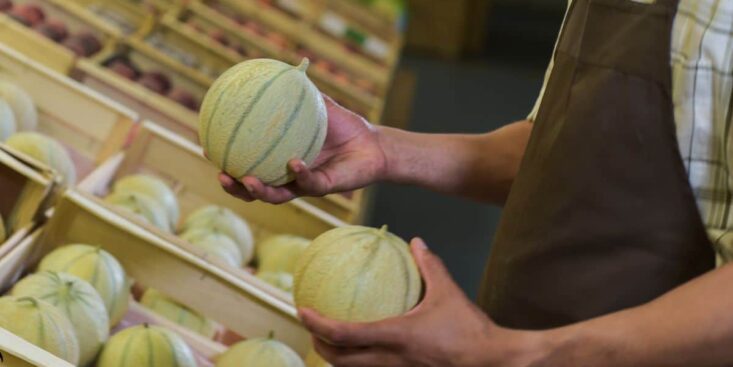 La meilleure technique pour bien choisir son melon