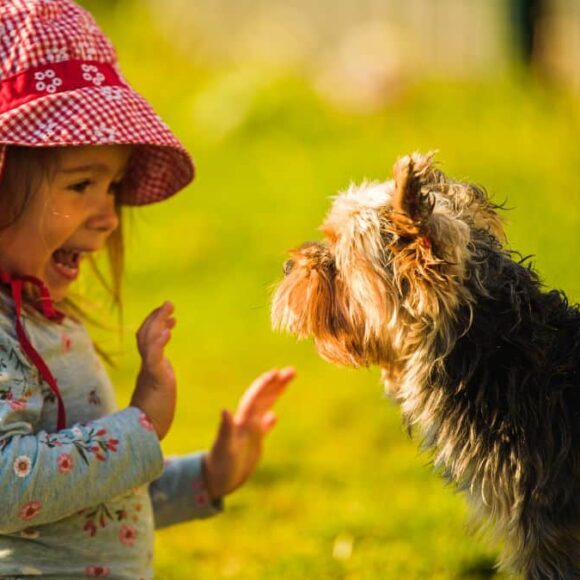 Les 3 meilleures races de chiens à avoir avec des enfants