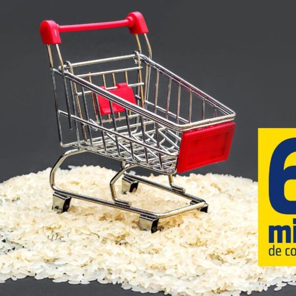 60 millions de consommateurs déconseille ces 5 marques de riz, il ne faut plus en acheter