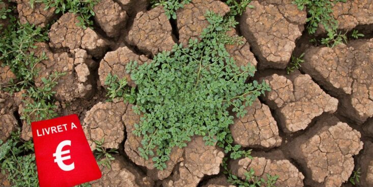 Ce nouveau plan d’épargne avenir climat de ces 2 banques beaucoup mieux que le Livret A