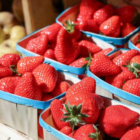 Ces Fraises vendues partout en France sont très contaminées, l'État lance un rappel urgent