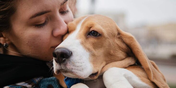 Identification obligatoire des animaux : quelles sanctions pour les propriétaires négligents ?