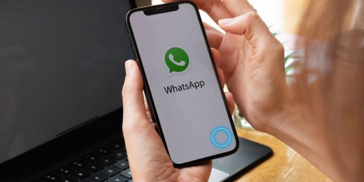 WhatsApp la meilleure technique pour supprimer le nouveau rond bleu et protéger ses données personnelles