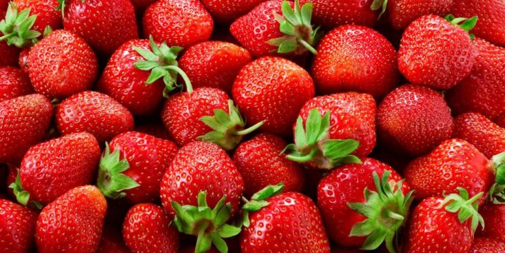 Fraises surgelées chez Leclerc : rappel massif pour excès de pesticides