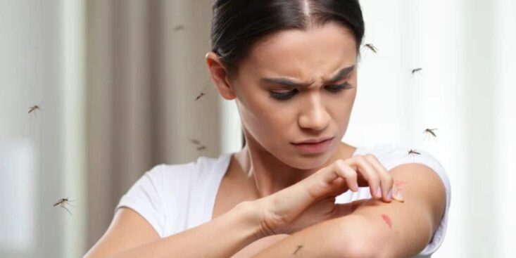 Ce rituel des dermatologues ultra simple à mettre en place pour ne plus avoir de moustiques chez vous ou en vacances