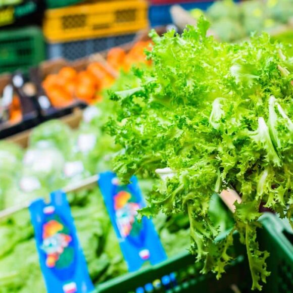 Ces salades en sachet contiennent trop de pesticides, l’astuce des nutritionnistes pour la manger en toute sécurité