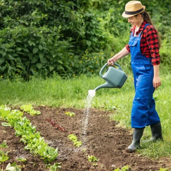Jardin : quelles sont les règles d’arrosage à respecter en période de sécheresse ?