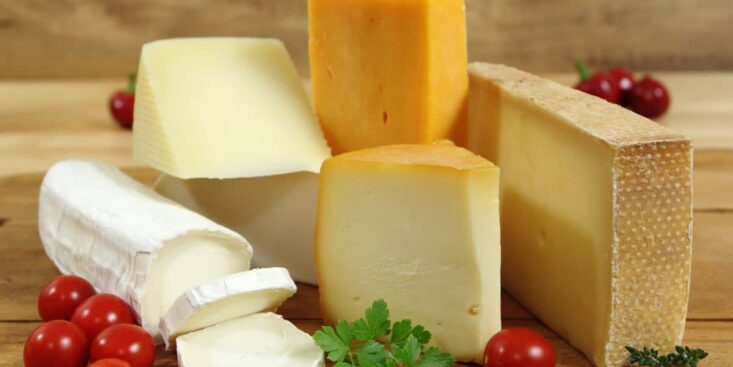 Quel fromage choisir pour mieux contrôler son hypertension ?