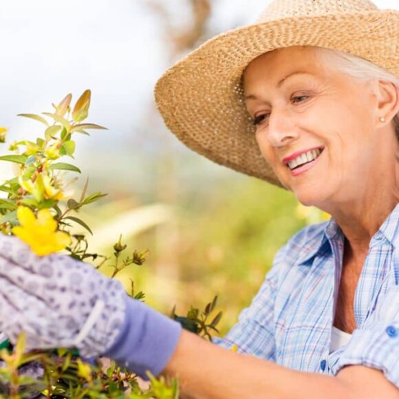 Restrictions d'eau et arrosage du jardin : ce qu'il faut savoir pour éviter l'amende