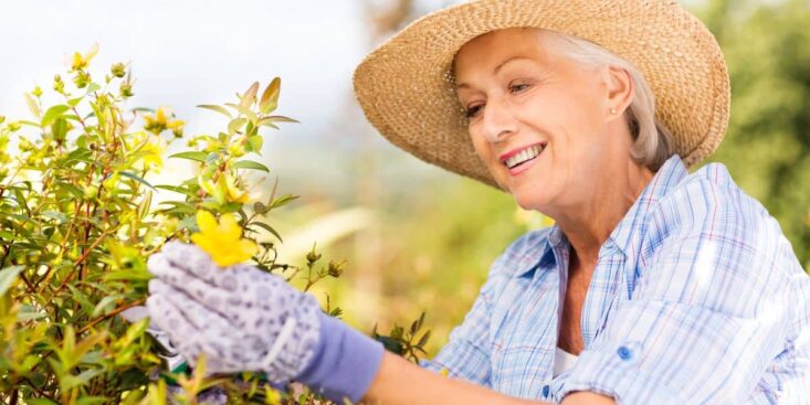 Restrictions d'eau et arrosage du jardin : ce qu'il faut savoir pour éviter l'amende