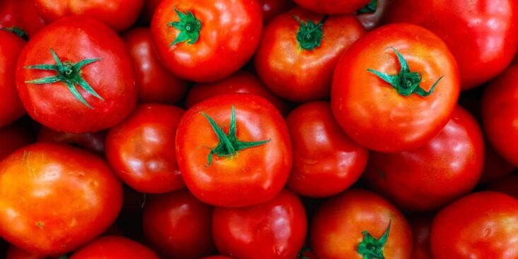 Il m’a fallu 32 ans de ma vie pour découper les tomates sans les écraser: l’astuce simple qui change tout