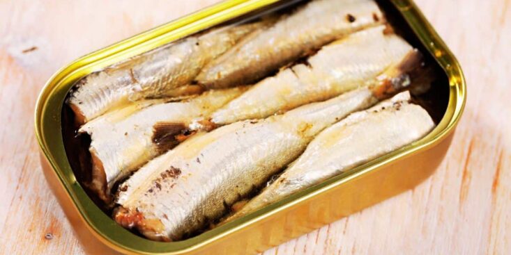 Les meilleures sardines en conserve à acheter en magasin pour votre santé