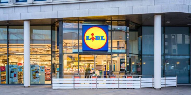 Marre des odeurs de poubelle chez vous ? Lidl lance un appareil révolutionnaire à moins de 40 € pour les neutraliser