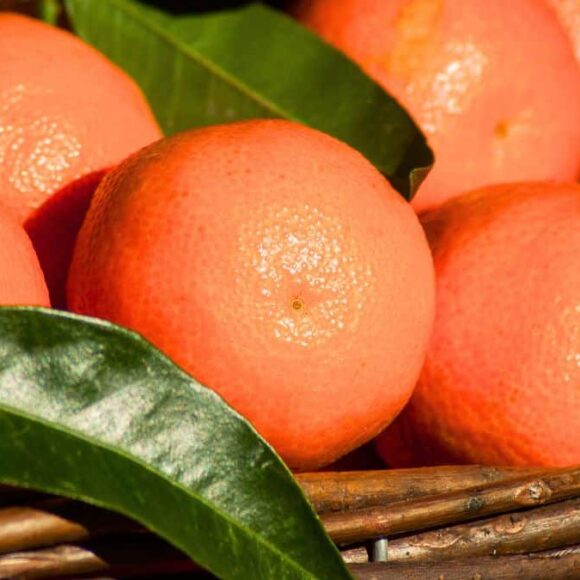 Santé : le fruit de saison sous-côté selon Jimmy Mohamed et pourquoi il faut en manger