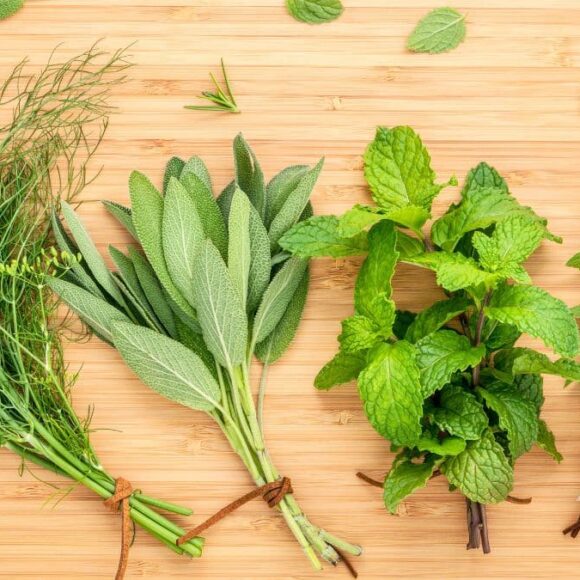 Basilic: multipliez vos plants chez vous avec une astuce simple