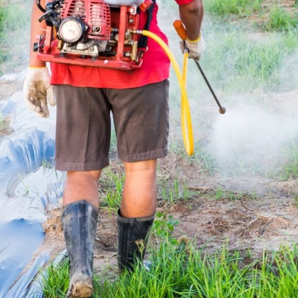 Jardin: la recette de grand-mère pour fabriquer un désherbant maison très puissant et ultra économique