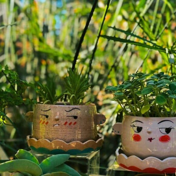 Kiwis : 3 secrets d’horticulteurs pour les faire pousser même là où rien ne prend