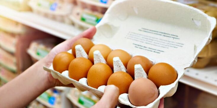 Œufs: rayons souvent vides en supermarché, seuls les plus chers restent