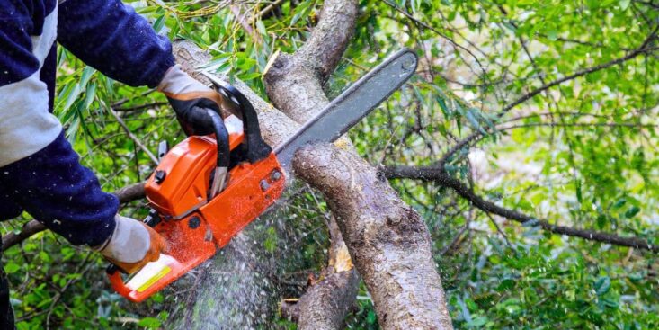 Lidl met en promo une tronçonneuse à essence avec démarrage électrique à 199€ cet automne 2025
